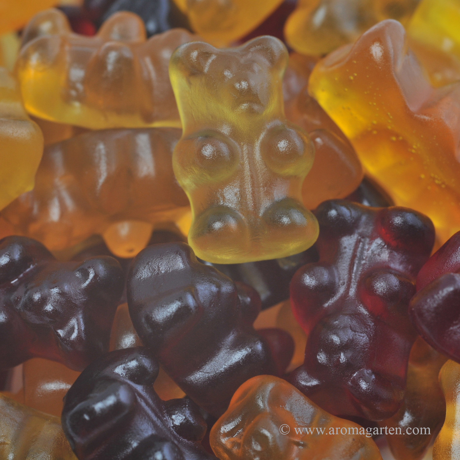 Gummibaerchen004 Bio Fruchtsaftbärchen ohne Gelatine
