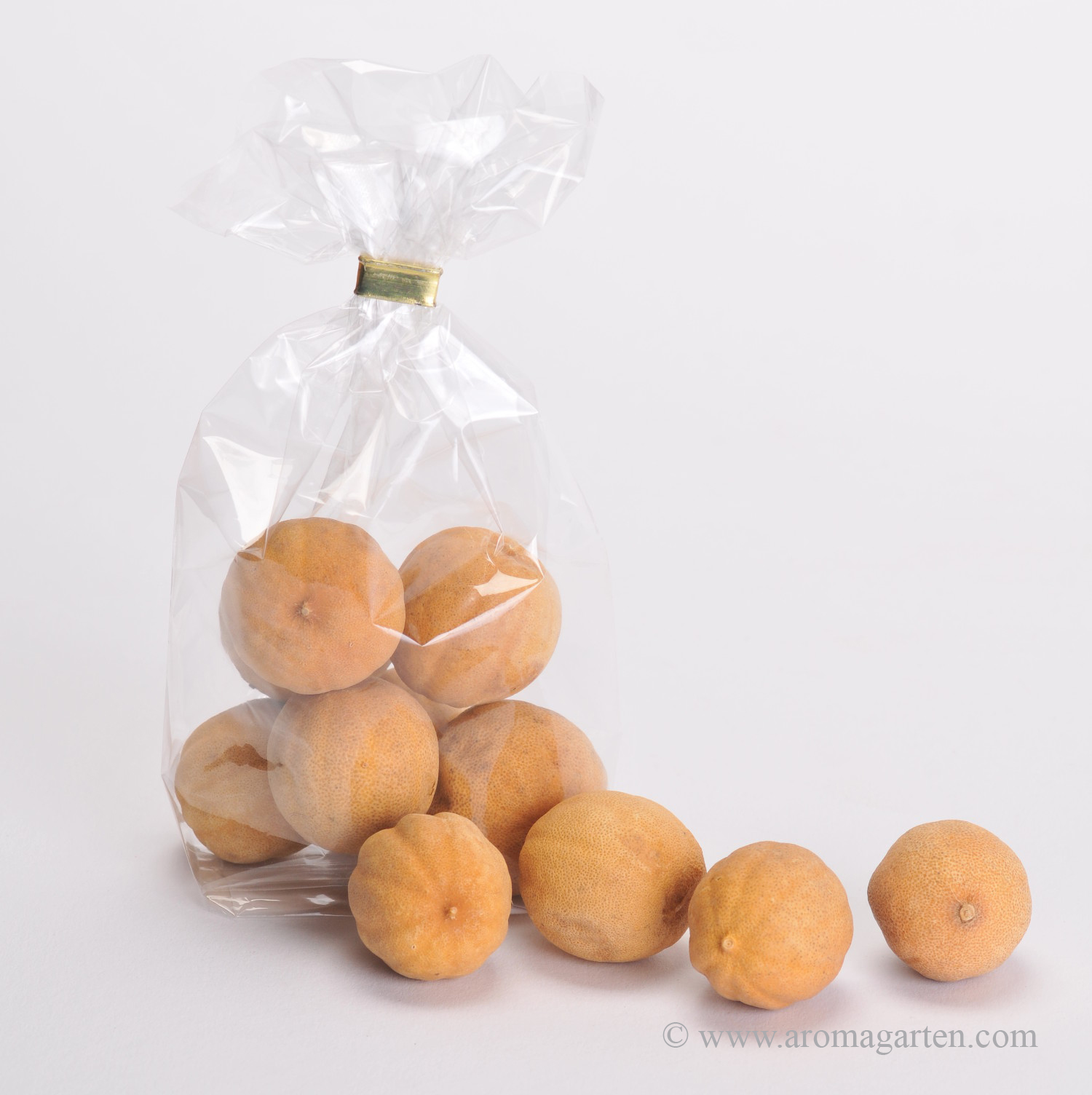 Zitrusfrucht Limette