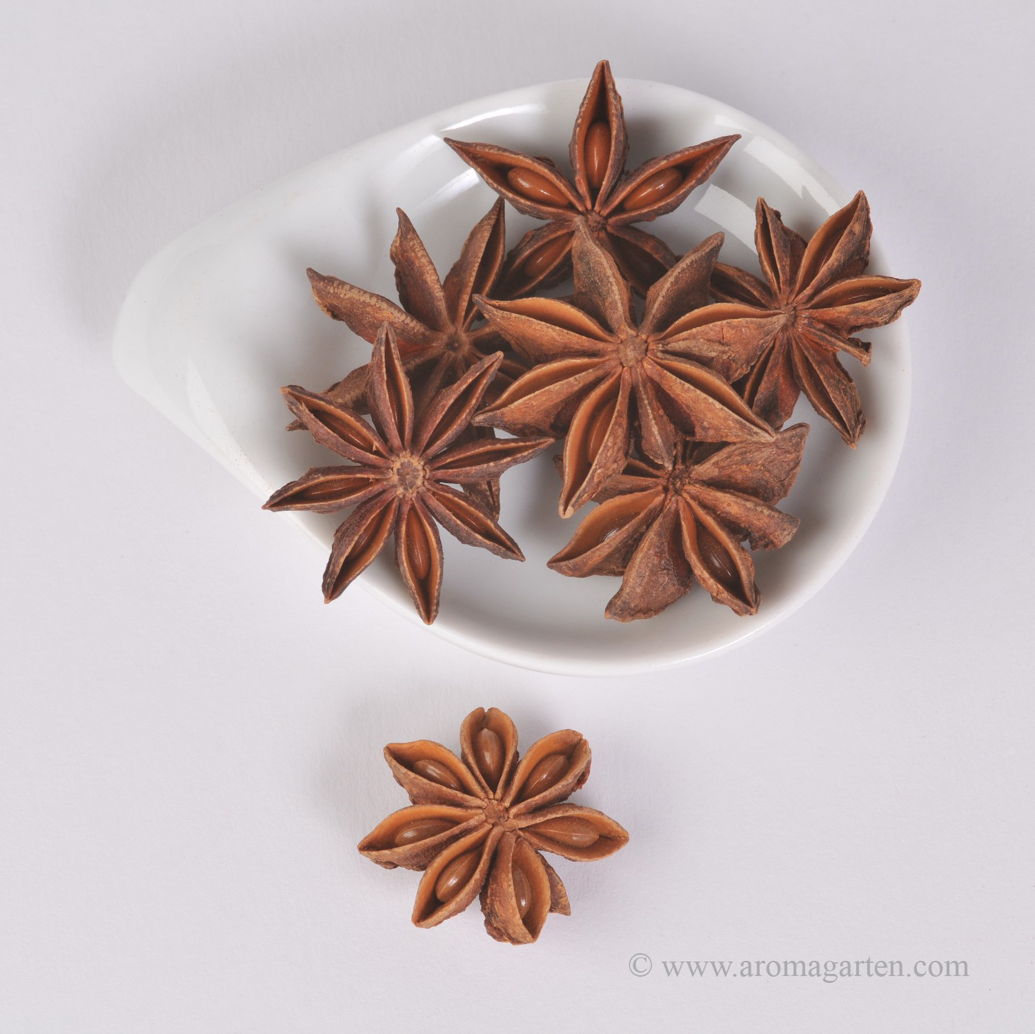 Sternanis