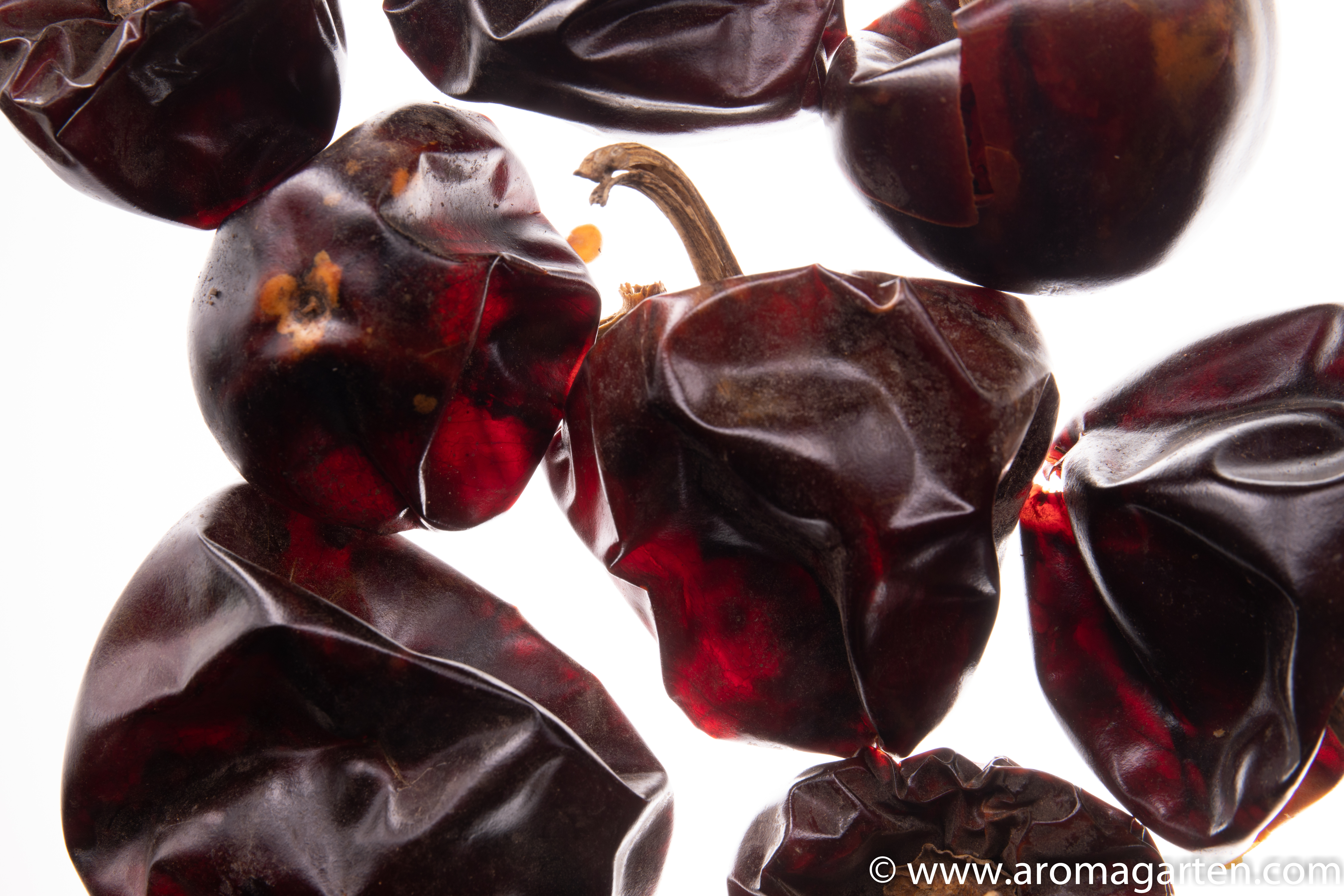 Cascabel Chili