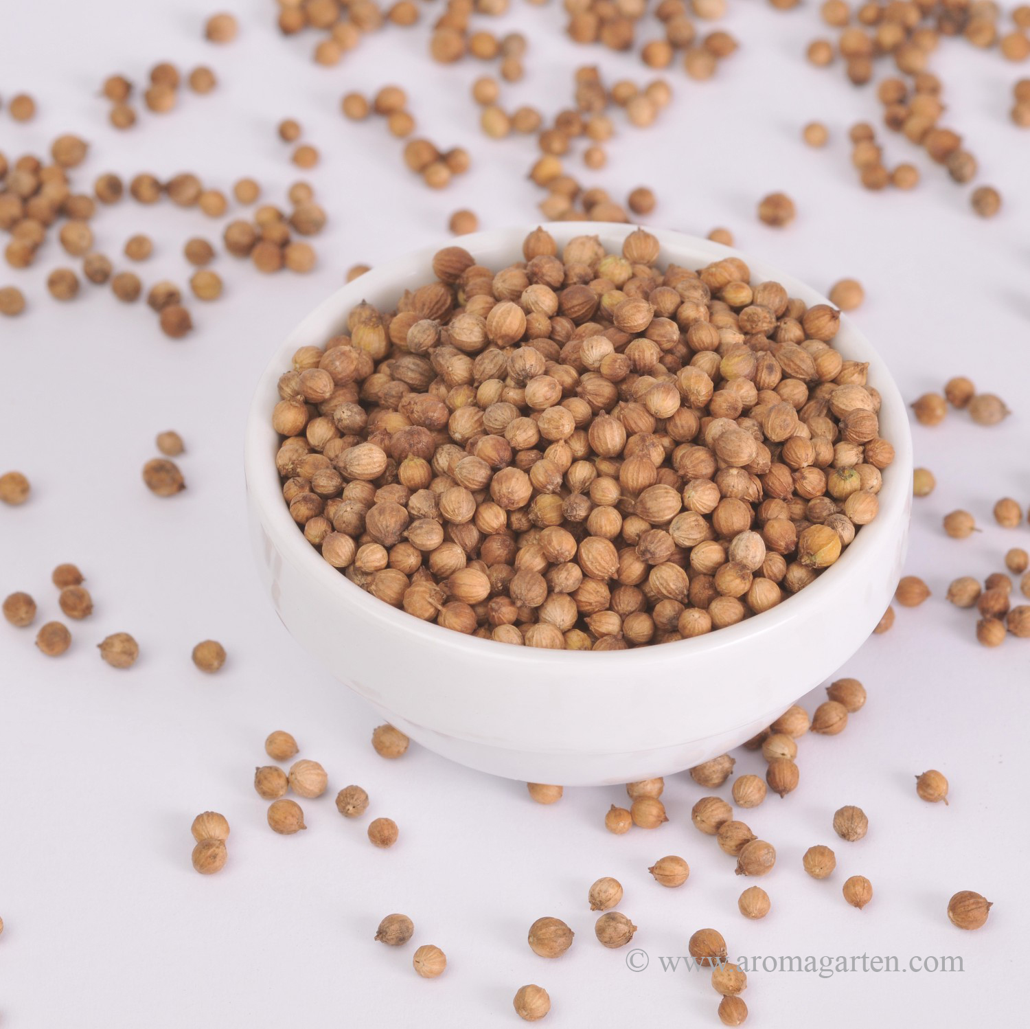 Koriandersaat kaufen